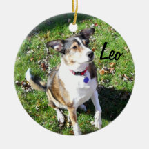 Ornement de chien personnalisé