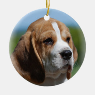 Ornement de chiot de beagle
