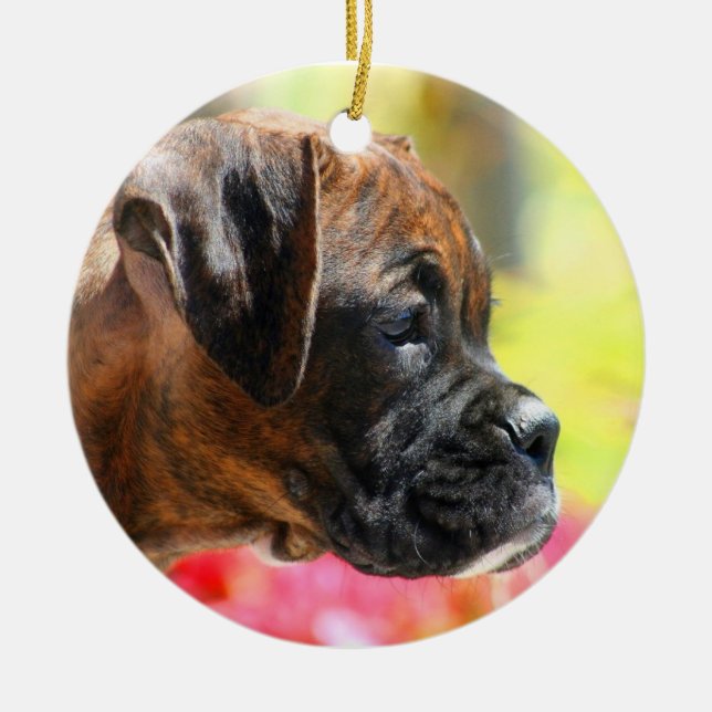 Ornement de chiot de boxeur (Devant)