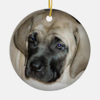 Ornement de chiot de mastiff