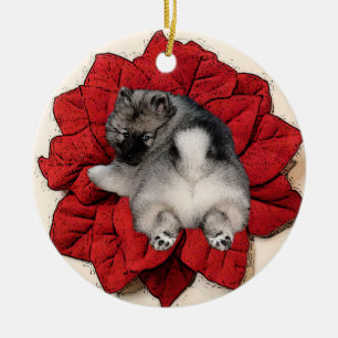 Ornement de chiot de poinsettia de Keeshond