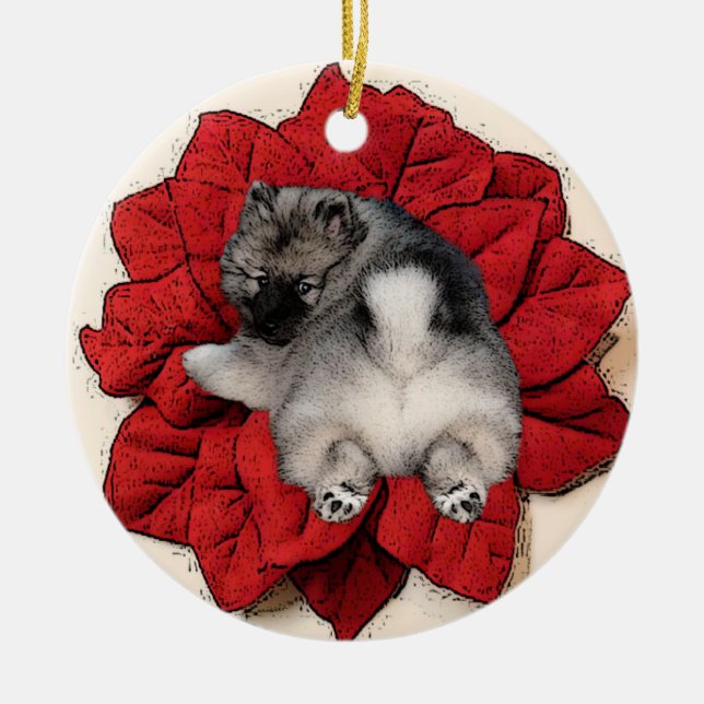 Ornement de chiot de poinsettia de Keeshond (Devant)