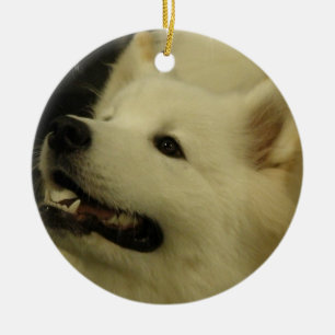 Ornement de chiot de Samoyed