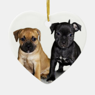 Ornement de chiots de bull-terrier du