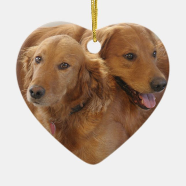 Ornement de coeur d'amour de golden retriever (Devant)