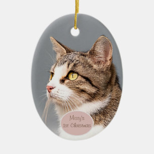 Ornement de compagnie pour chat personnalisé