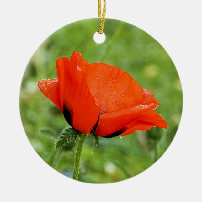 Ornement de coquelicot (Devant)