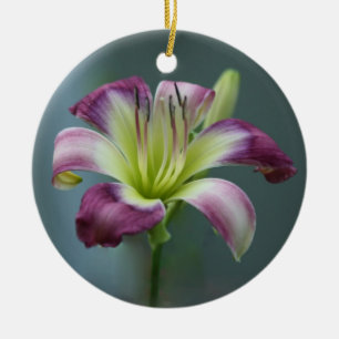 Ornement de Daylily