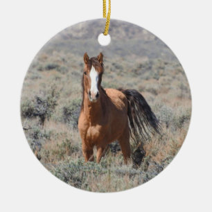 Ornement de faune, chevaux sauvages