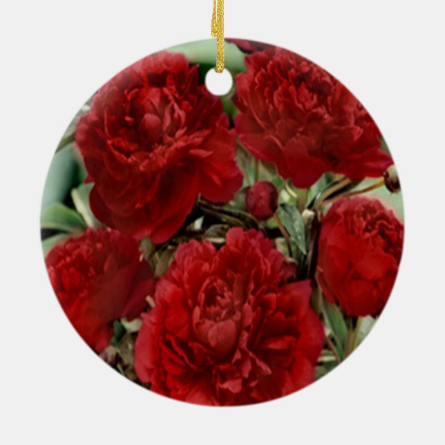 Ornement de fleurs de carnation rouge (Dos)