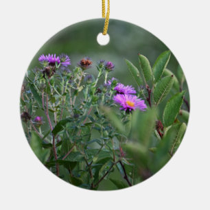 Ornement de fleurs de l'aster de la Nouvelle-Angle