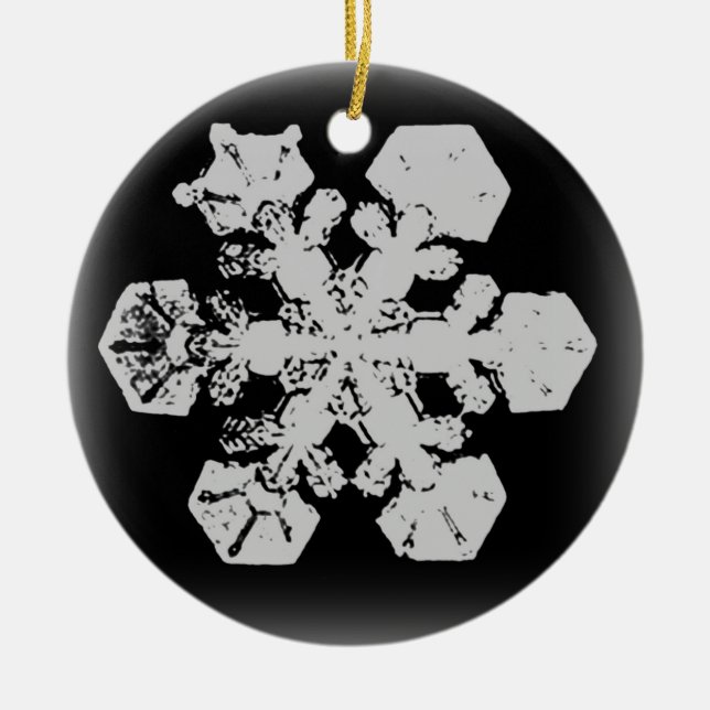 Ornement de flocon de neige 3 (Devant)