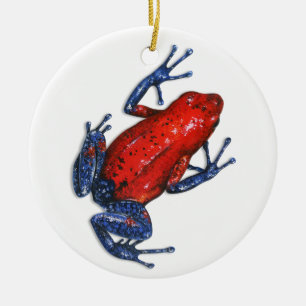Ornement de grenouille de dard de poison
