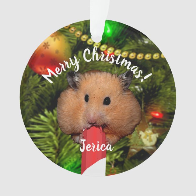 Ornement de hamster drôle mangeant un bâton de bon (devant)