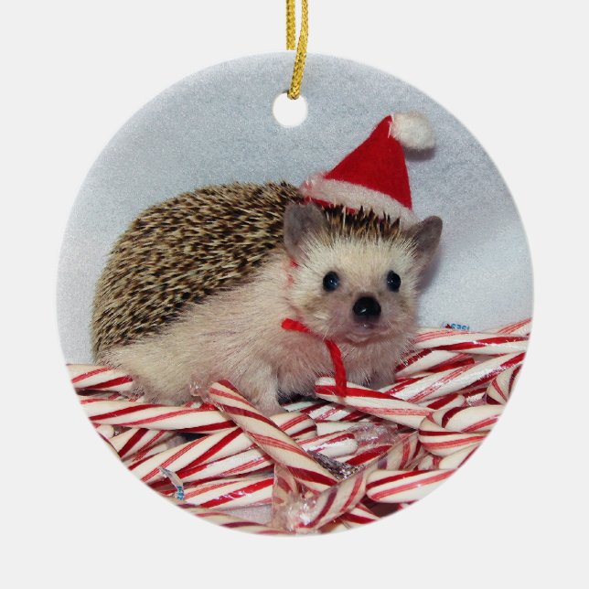 Ornement de Hedgie de Noël (Devant)