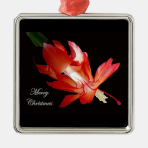 Ornement de Joyeux Noël de cactus de Noël