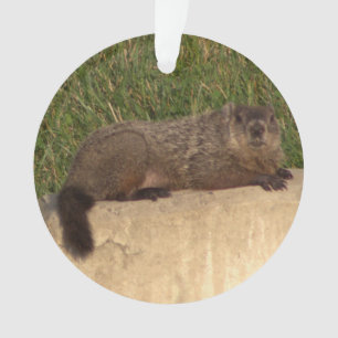 Ornement de la marmotte