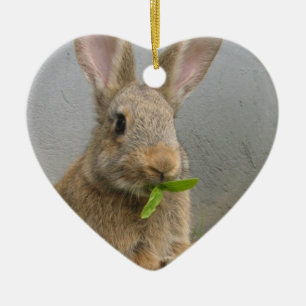 Ornement de lapin de lapin