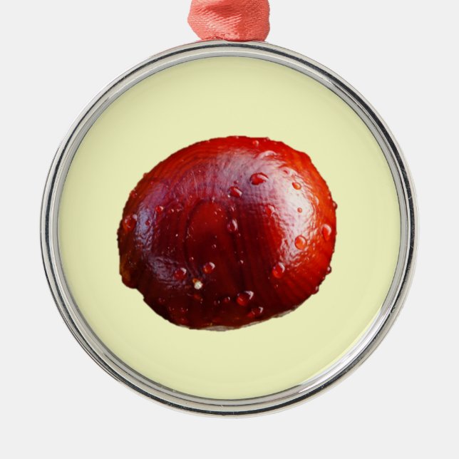 Ornement de marron (Devant)