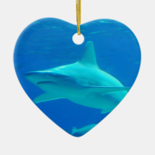 Ornement de natation de requin