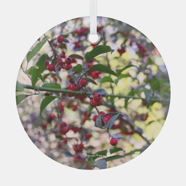 Ornement de Noël (Recto)