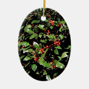 Ornement de Noël 2025 de 'Holly & Berries'