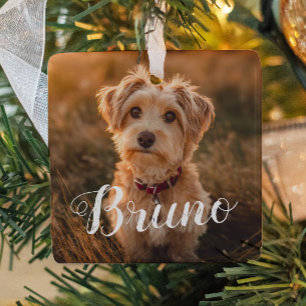 Ornement de Noël à écriture simple pour chien