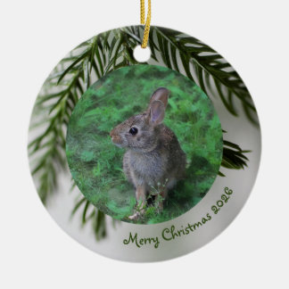 Ornement de Noël à feuilles persistantes avec 2 ph