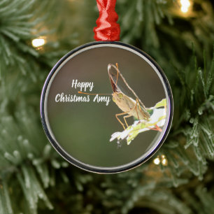Ornement de Noël avec photo de papillon personnali