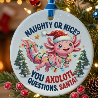Ornement de Noël Axolotl - Vous avez des Questions
