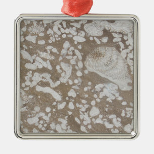 Ornement de Noël Brown et blanc