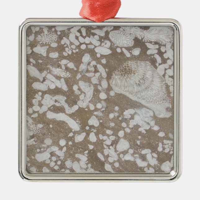 Ornement de Noël Brown et blanc (Devant)