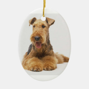 Ornement de Noël d'Airedale Terrier