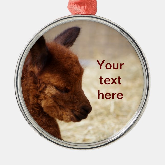 Ornement de Noël d'alpaga de bébé (Devant)