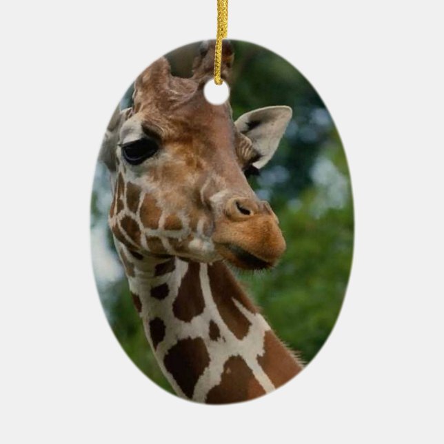 Ornement de Noël d'amants de girafe (Devant)