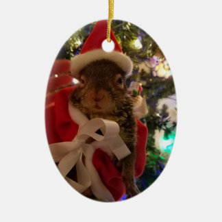 Ornement de Noël d'amarante