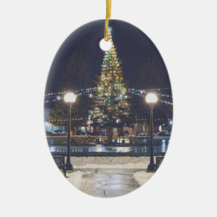 Ornement de Noël d'anaconda