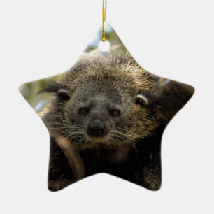 Ornement de Noël de Bearcat