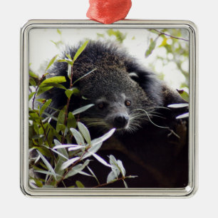Ornement de Noël de Bearcat