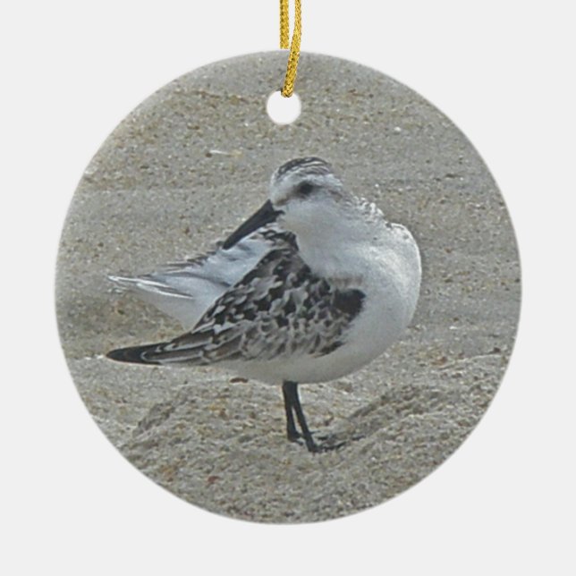 Ornement de Noël de bécasseau (Devant)