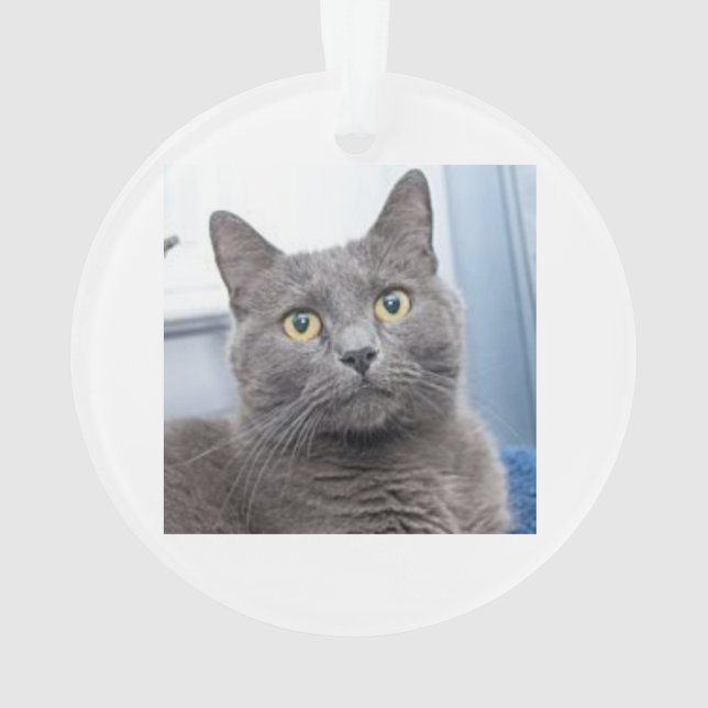 Ornement de Noël de bon côté (dos)