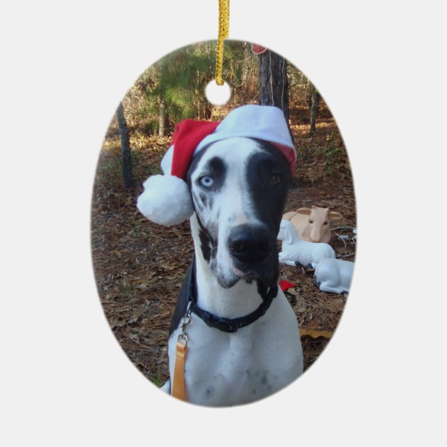 Ornement de Noël de bouteur (Devant)