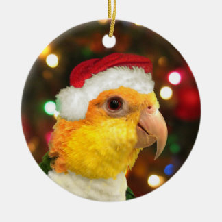 Ornement de Noël de caïque gonflé par blanc de
