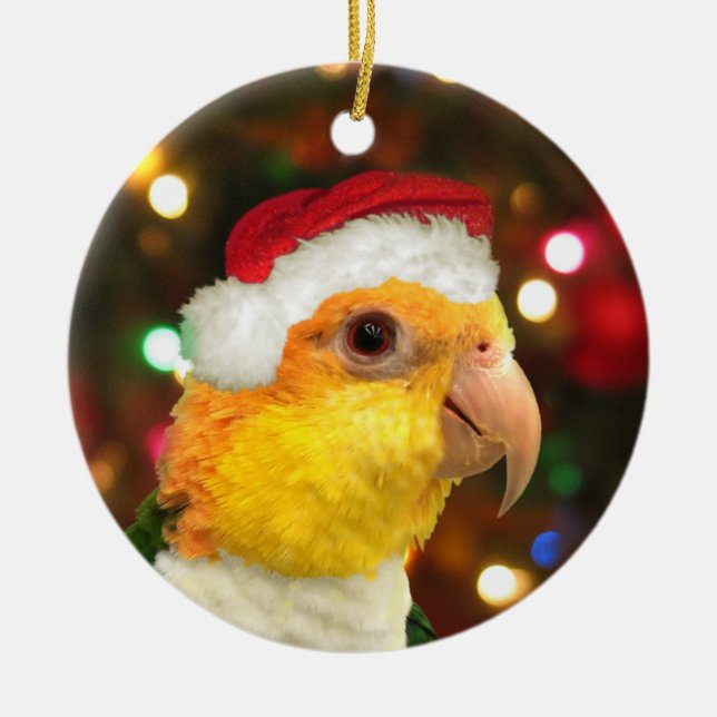 Ornement de Noël de caïque gonflé par blanc de (Devant)