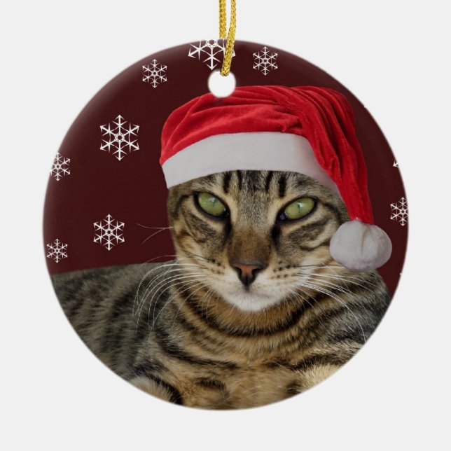 Ornement de Noël de chat de Père Noël (Devant)