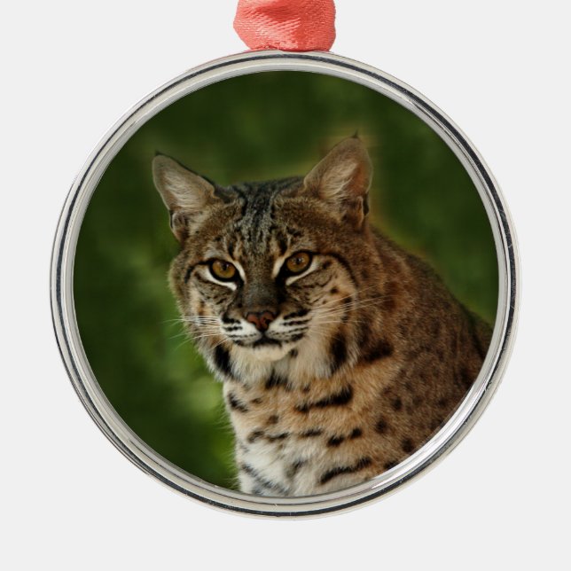 Ornement de Noël de chat sauvage (Devant)