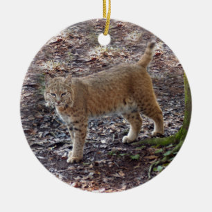 Ornement de Noël de chat sauvage