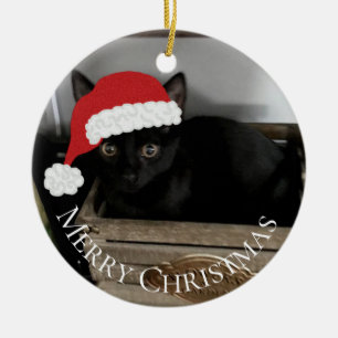 Ornement de Noël de chaton de Père Noël