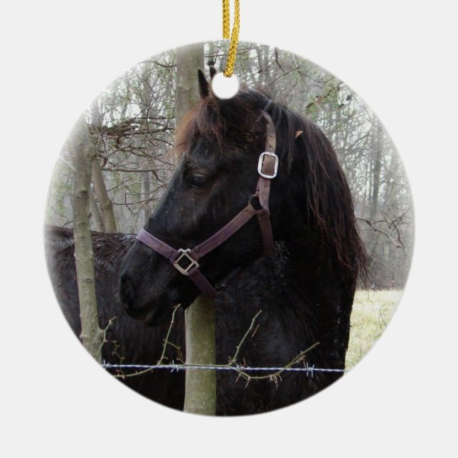 ORNEMENT DE NOËL DE CHEVAL (Devant)