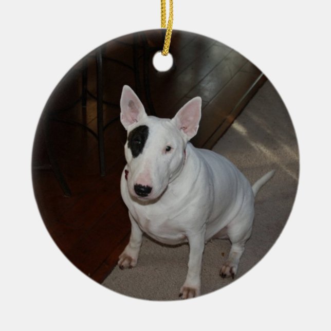 Ornement de Noël de chien de marguerite (Devant)
